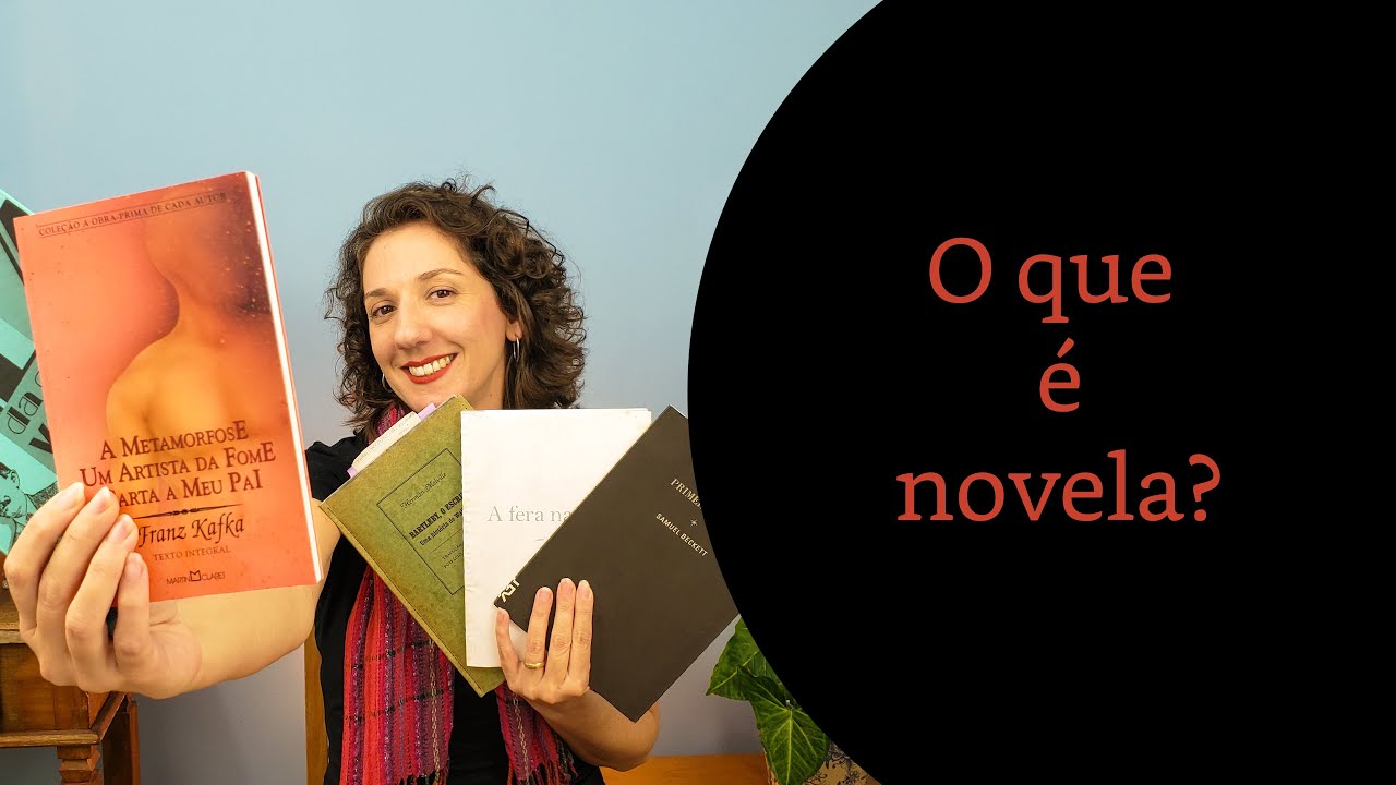 O que é Novela literária?
