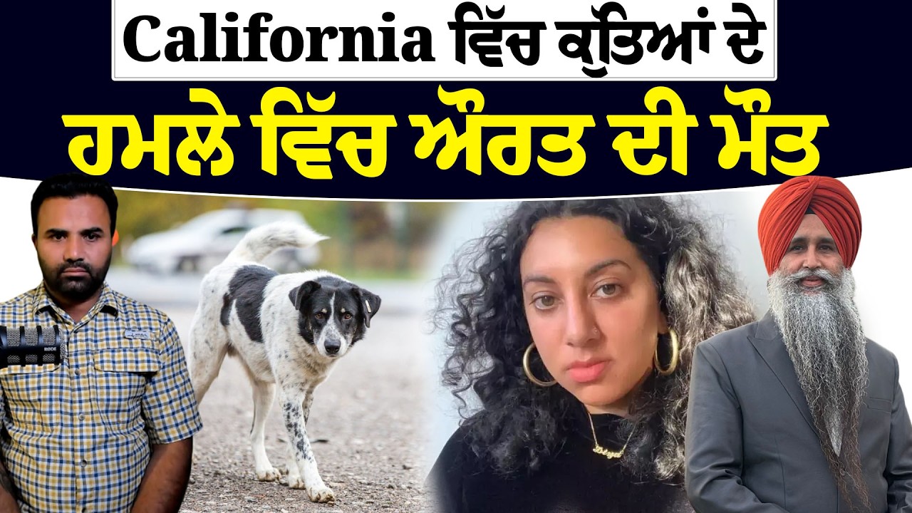 California ਵਿੱਚ ਕੁੱਤਿਆਂ ਦੇ ਹ.ਮ./ਲੇ ਵਿੱਚ ਔਰਤ ਦੀ ਮੌ./ਤ