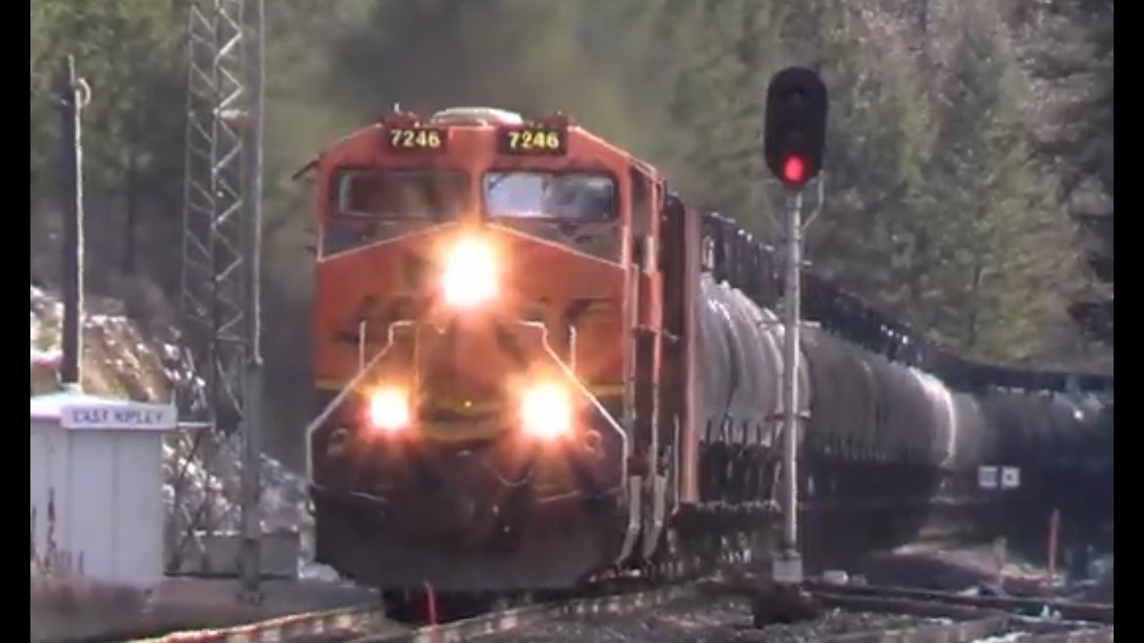 Heavy Crude Oil Trains, a Grain Train and a Z as they roll past Ripley and Libby Montana on a Sunny