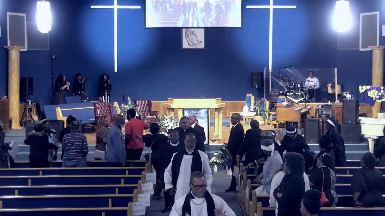 Live Stream