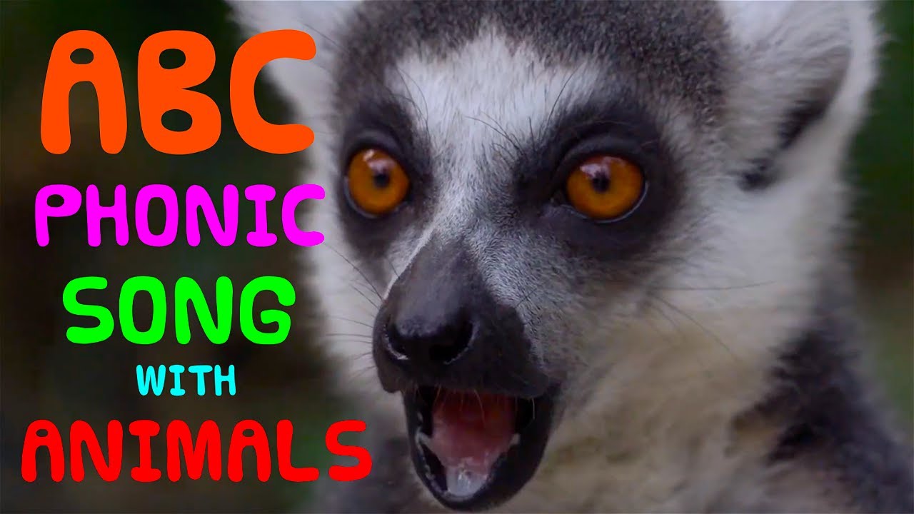 ABC of ANIMALS / kids animal alphabet phonics