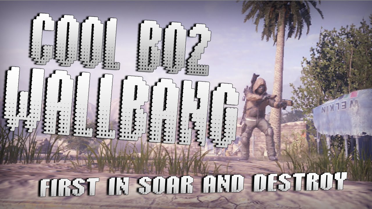 Cool BO2 Wallbang! (First in SoaR & Destroy)