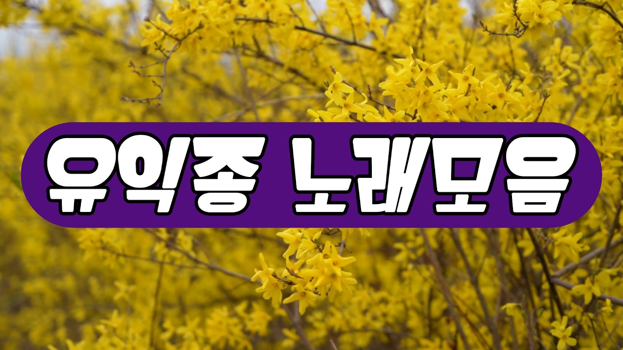 첫 소절부터 시작되는 향수 유익종 베스트곡 모음 #유익종 #노래모음 #7080 #추억의노래 #감성발라드 #힐링음악 #플레이리스트 #목소리천재  #해바라기 #유익종베스트곡모음