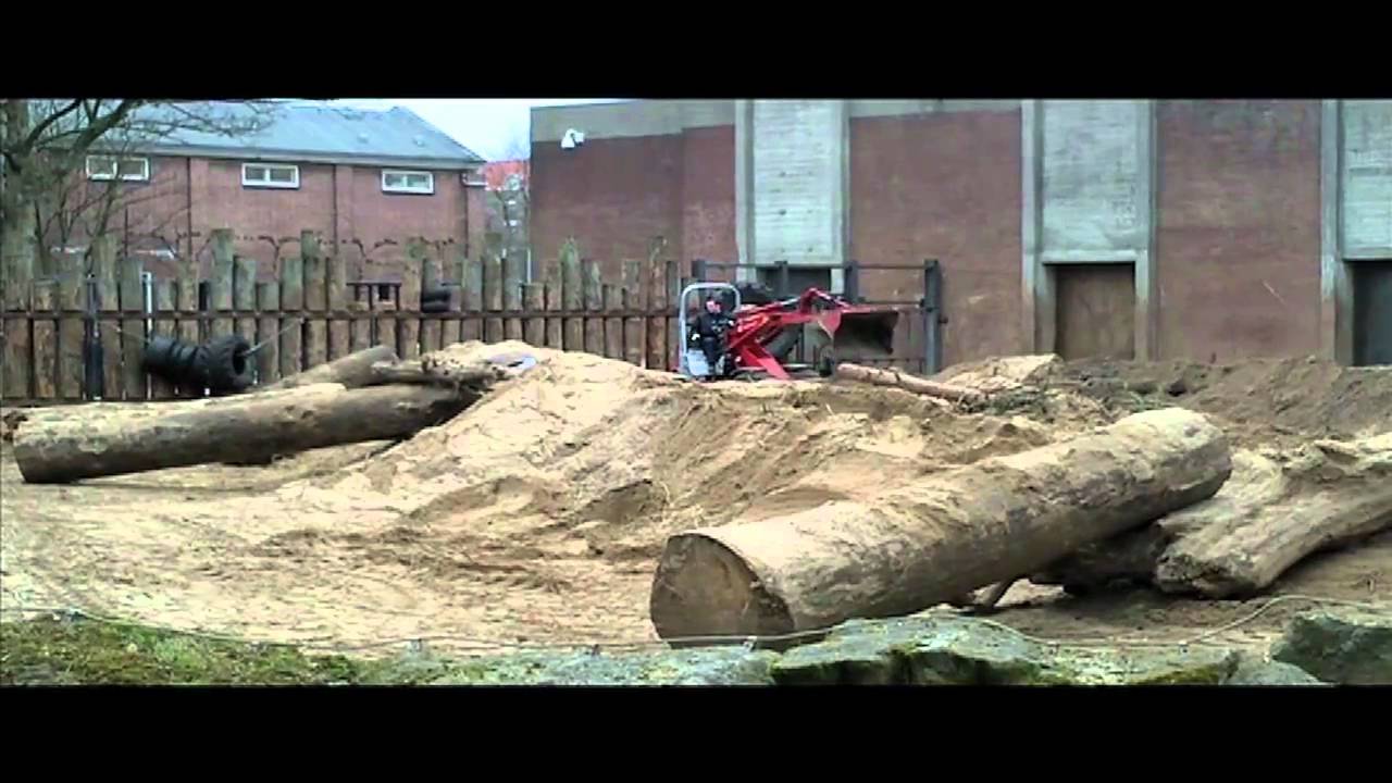 Olifantenperk verbouwen in ARTIS - februari 2011