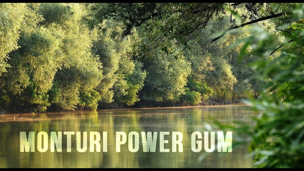 Monturi Power Gum