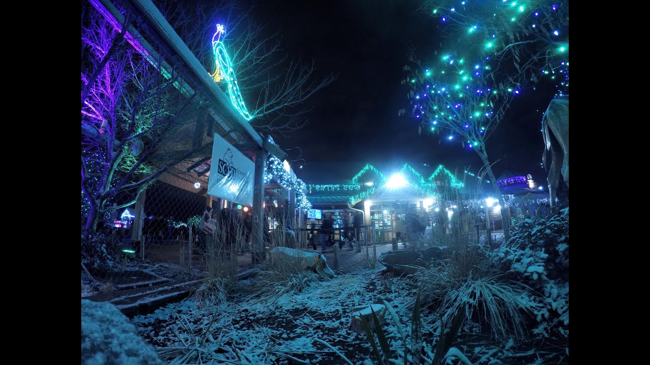Denver Zoo Lights - 4K Nightlapse