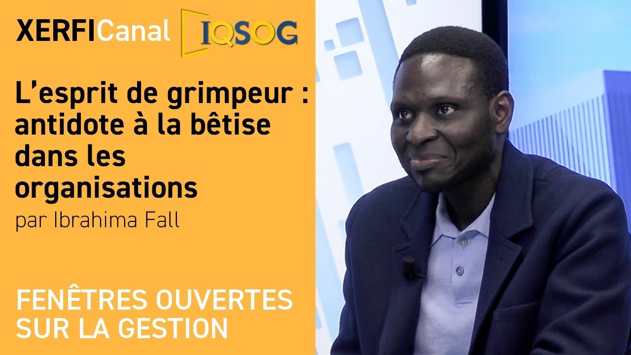L’esprit de grimpeur : antidote à la bêtise dans les organisations [Ibrahima Fall]