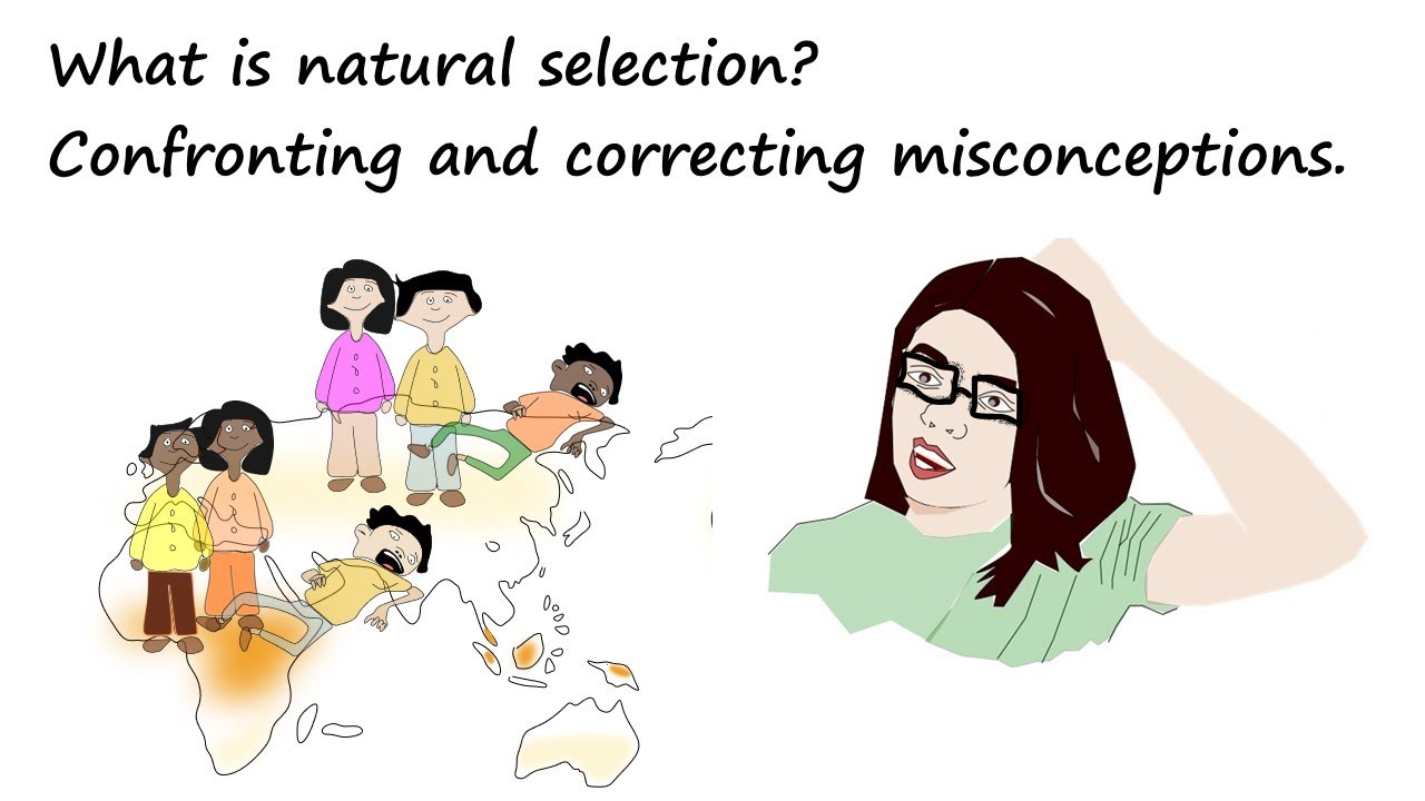 What is natural selection? Confronting and correcting misconceptions.