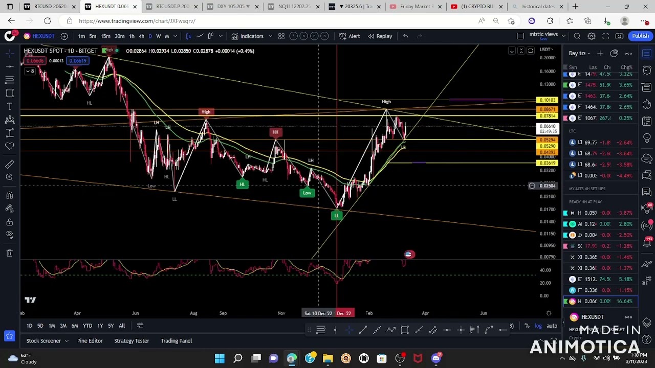 From Start to Targets learn to set your next trade in Hex. #hex