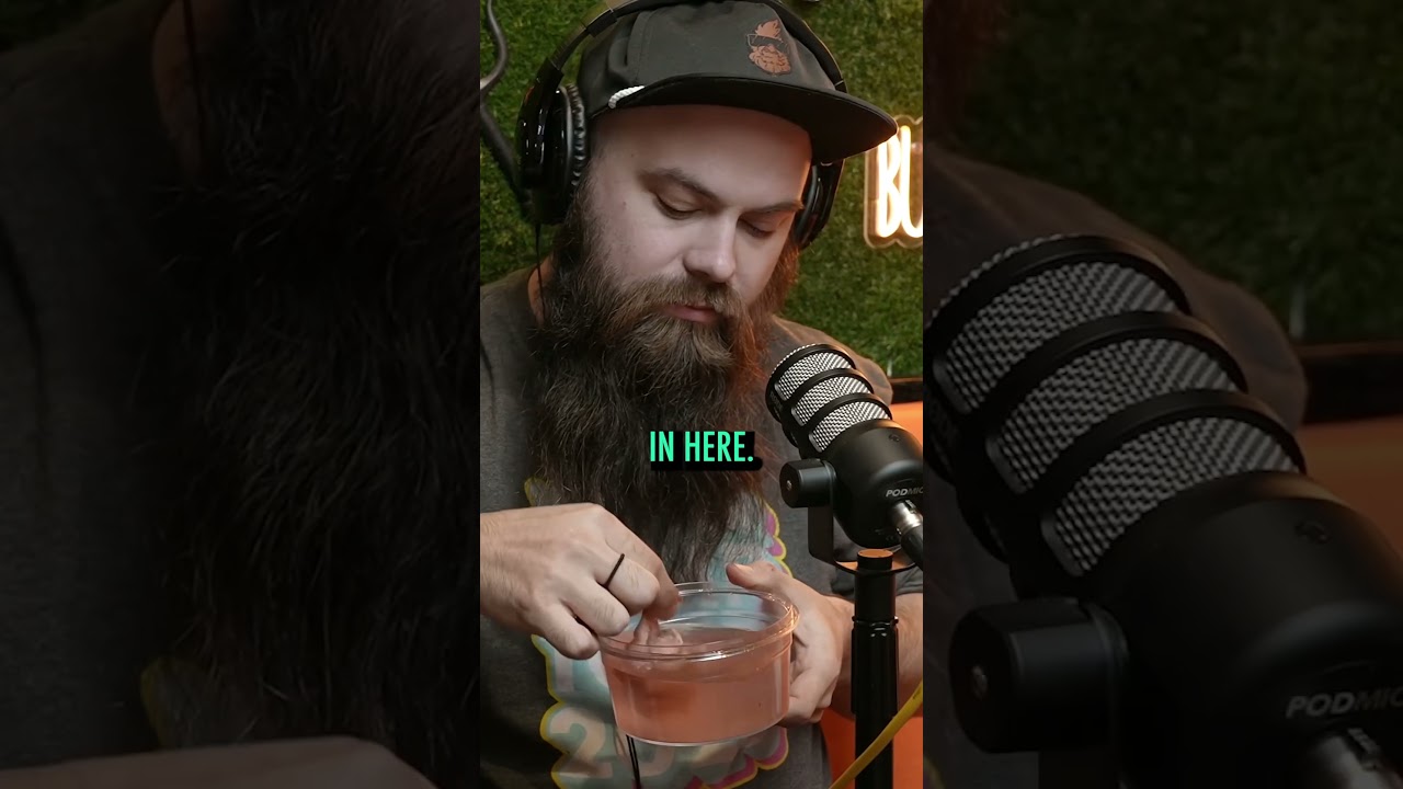 Эпизод 30. Этот крик 😂 #ниндзябабочки #подкаст #комедия #воскресныйкруто