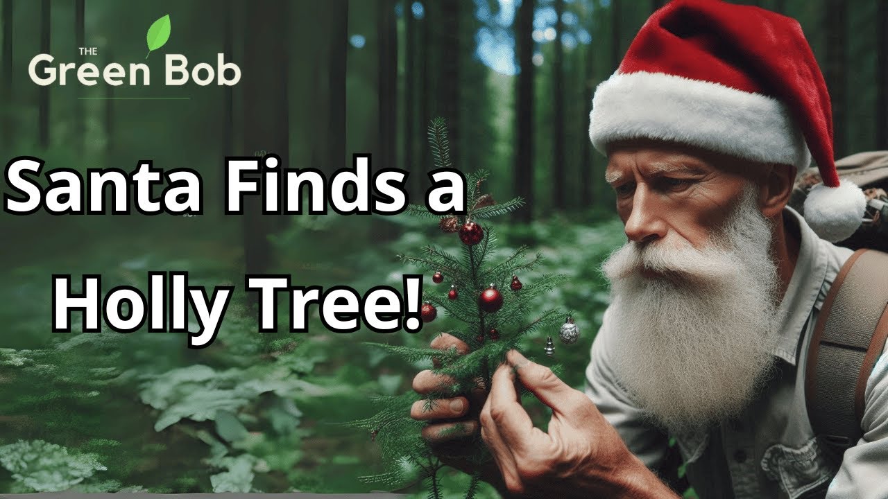 Yamadori Discovery: Collecting a Holly Tree for Bonsai