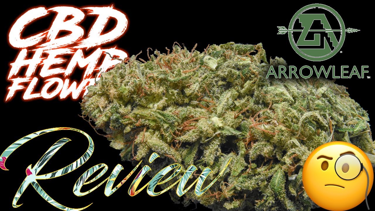Arrowleaf Sour Hawaiian Haze.. Is This as Good as Some Say? | CBD Hemp Flower Review