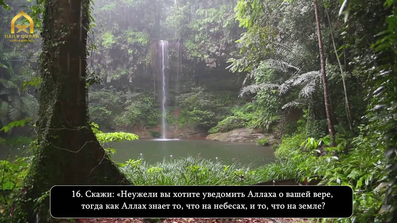 Самир аль Башир | Сура 49 