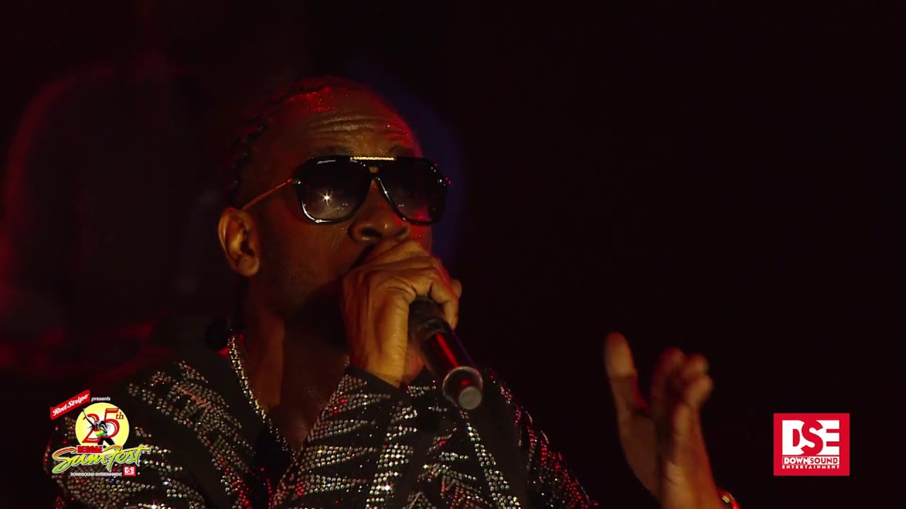 Reggae Sumfest 2017 - Bounty Killer (Part 2 of 6)