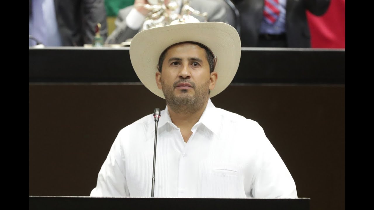 Dip. Carlos Alberto Manzo Rodríguez (MORENA) / Presentación de reservas