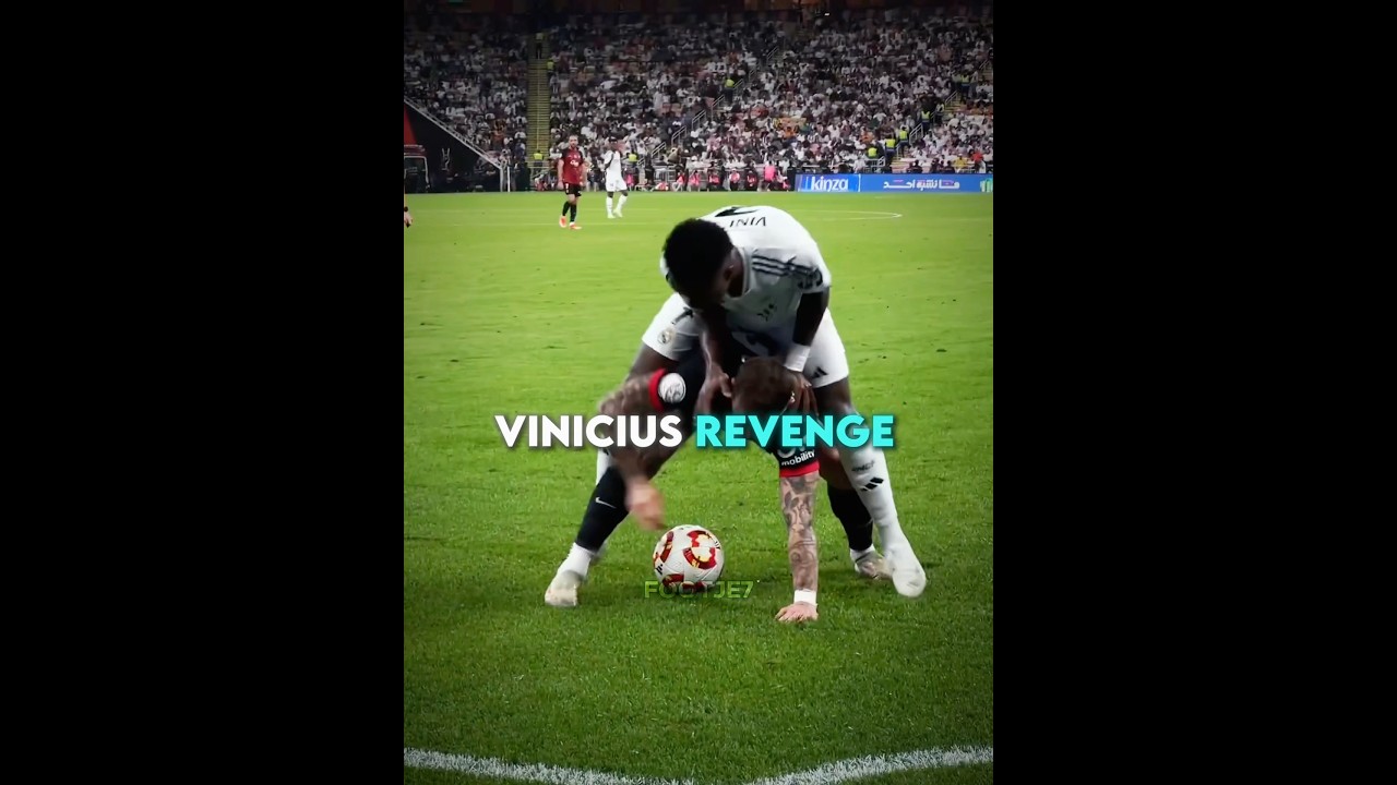 Vinicius Revenge vs Maffeo