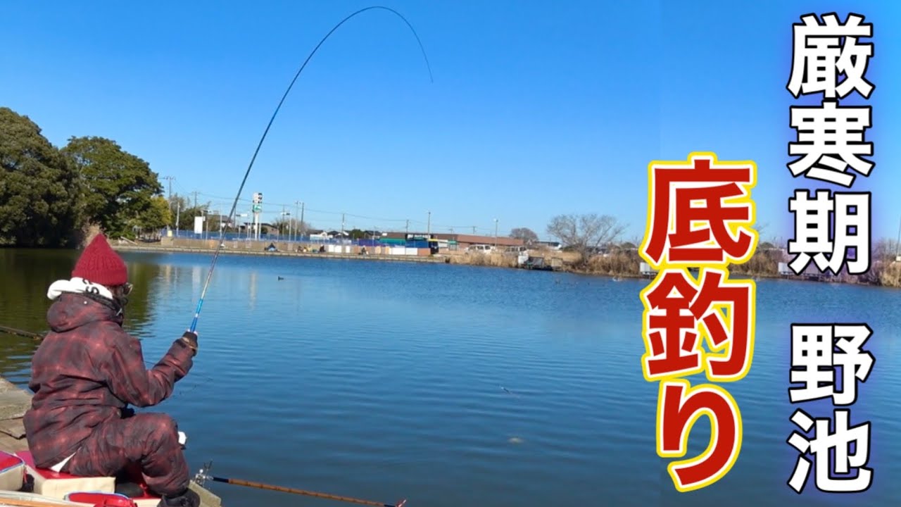 厳寒期でも簡単に釣れる野池で両グルテン底釣りでへらぶな釣り！【道ノ口沼】