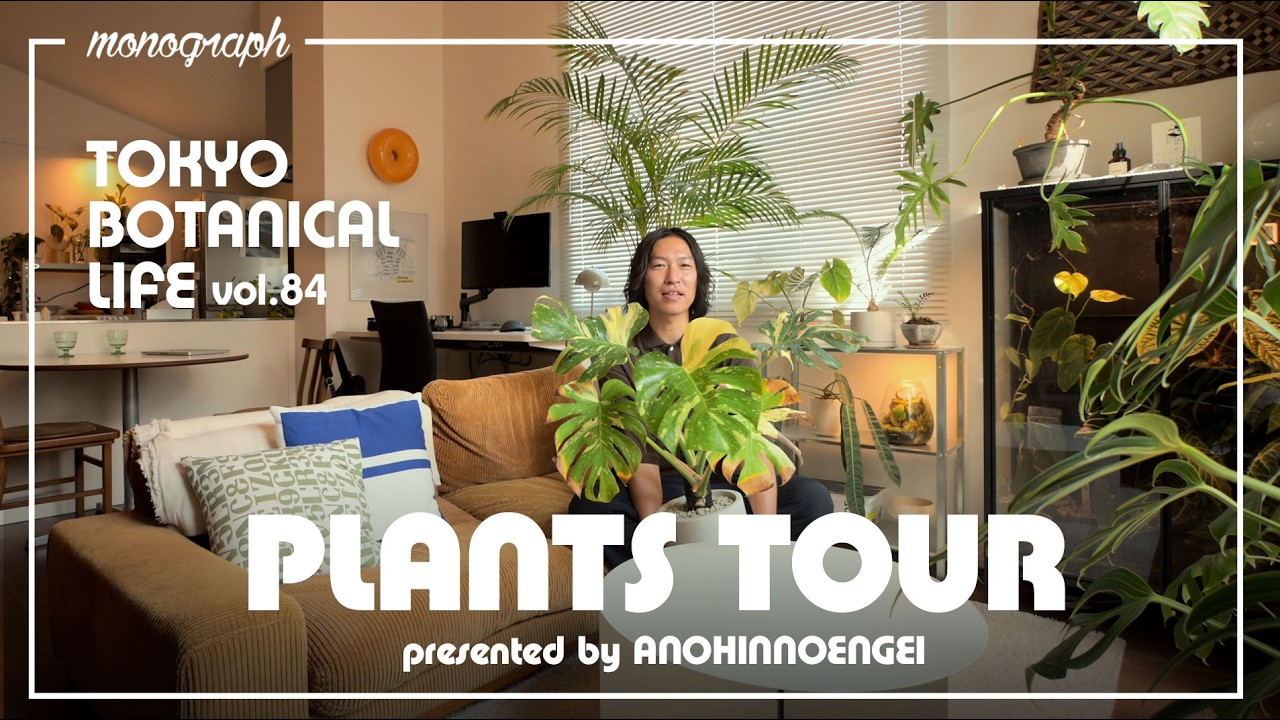 【PLANT TOUR】1LDKで植物とお洒落に暮らす二人暮らしデザイナーの観葉植物コレクション.【TBL84】