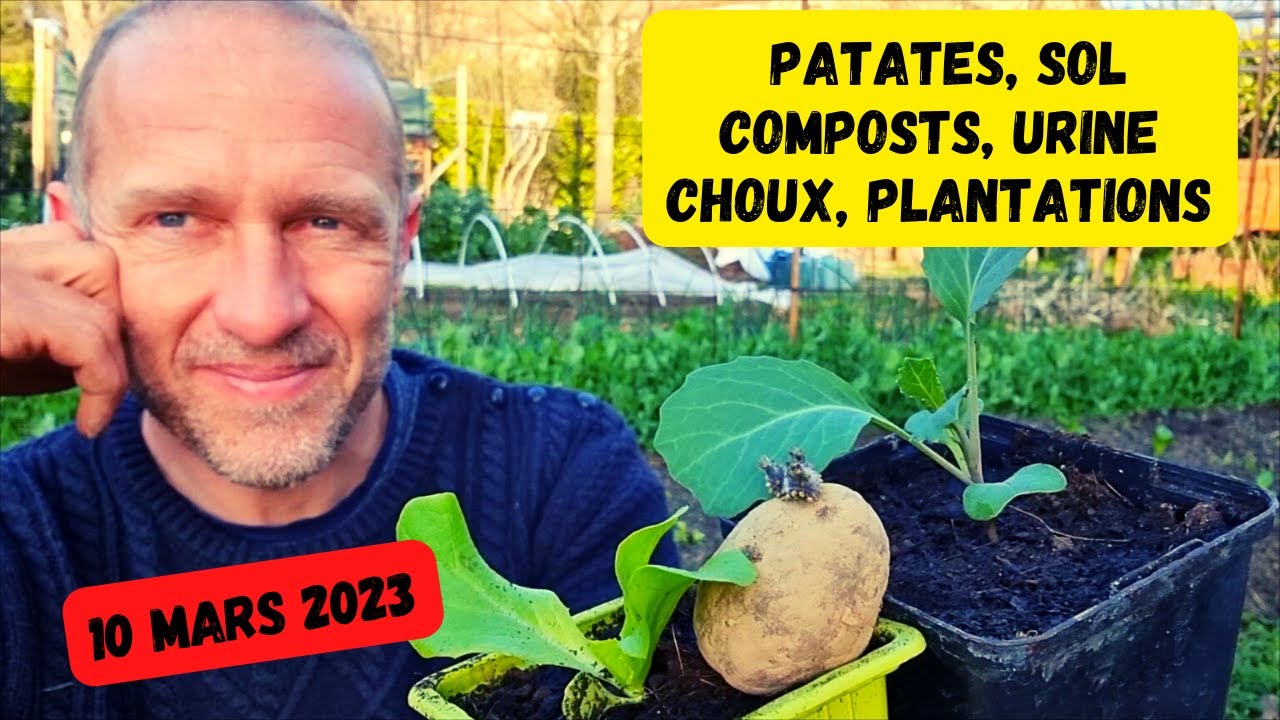 Au potager, mi-mars 2023