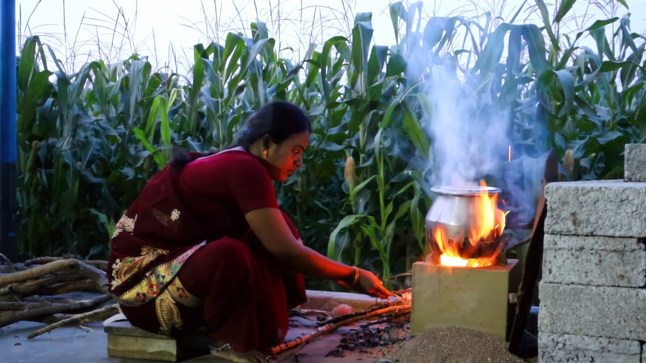 Village Traditional Lifestyle | Harvesting Corn for Cooking | Village Traditional Couple