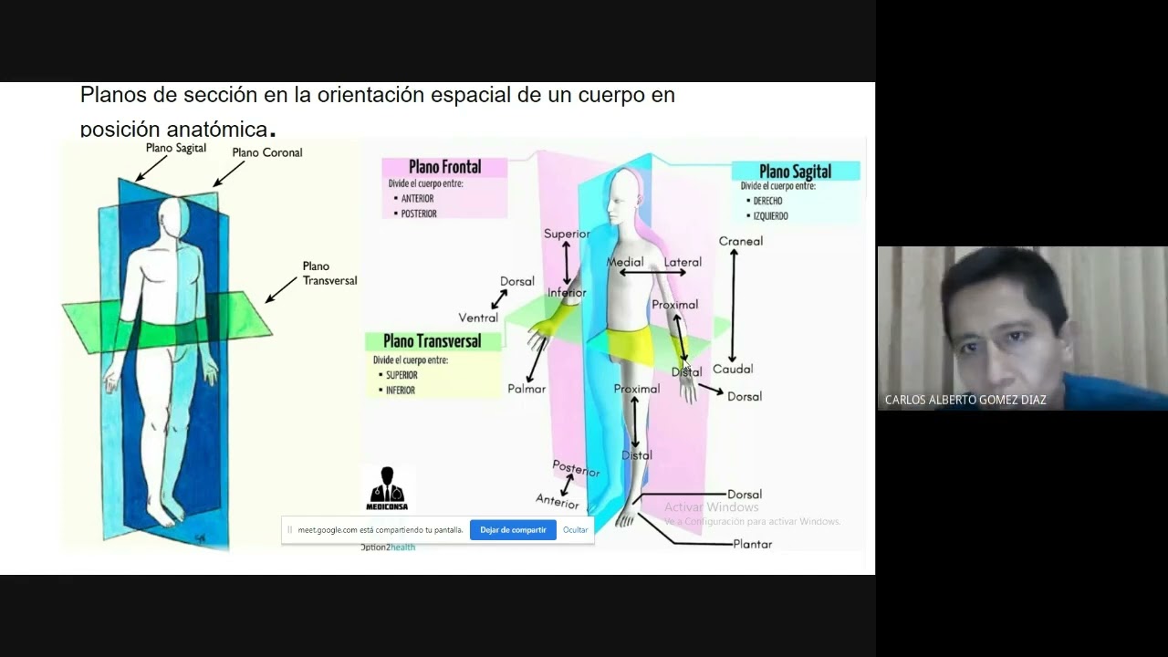 TRAUMATOLOG&Iacute;A | SEMIOLOG&Iacute;A