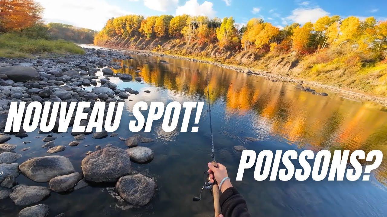 NOUVEAU SPOT : entre relaxation et CHAOS! (pêche en rivière)