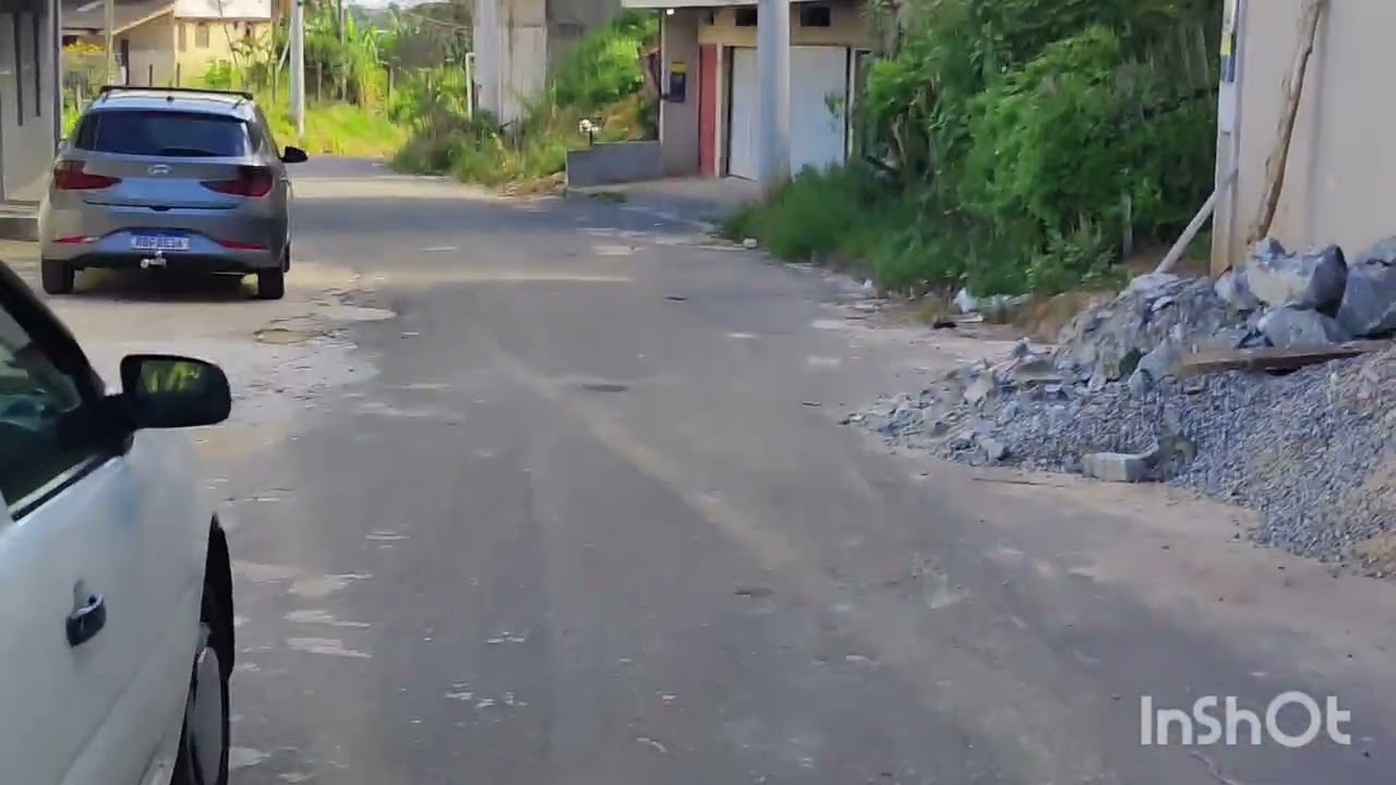 PASSARINHEIRO TEM DESSAS COISAS VOCÊ VAI PASSAR POR ISSO TAMBÉM #trincaferro #passaros #birds