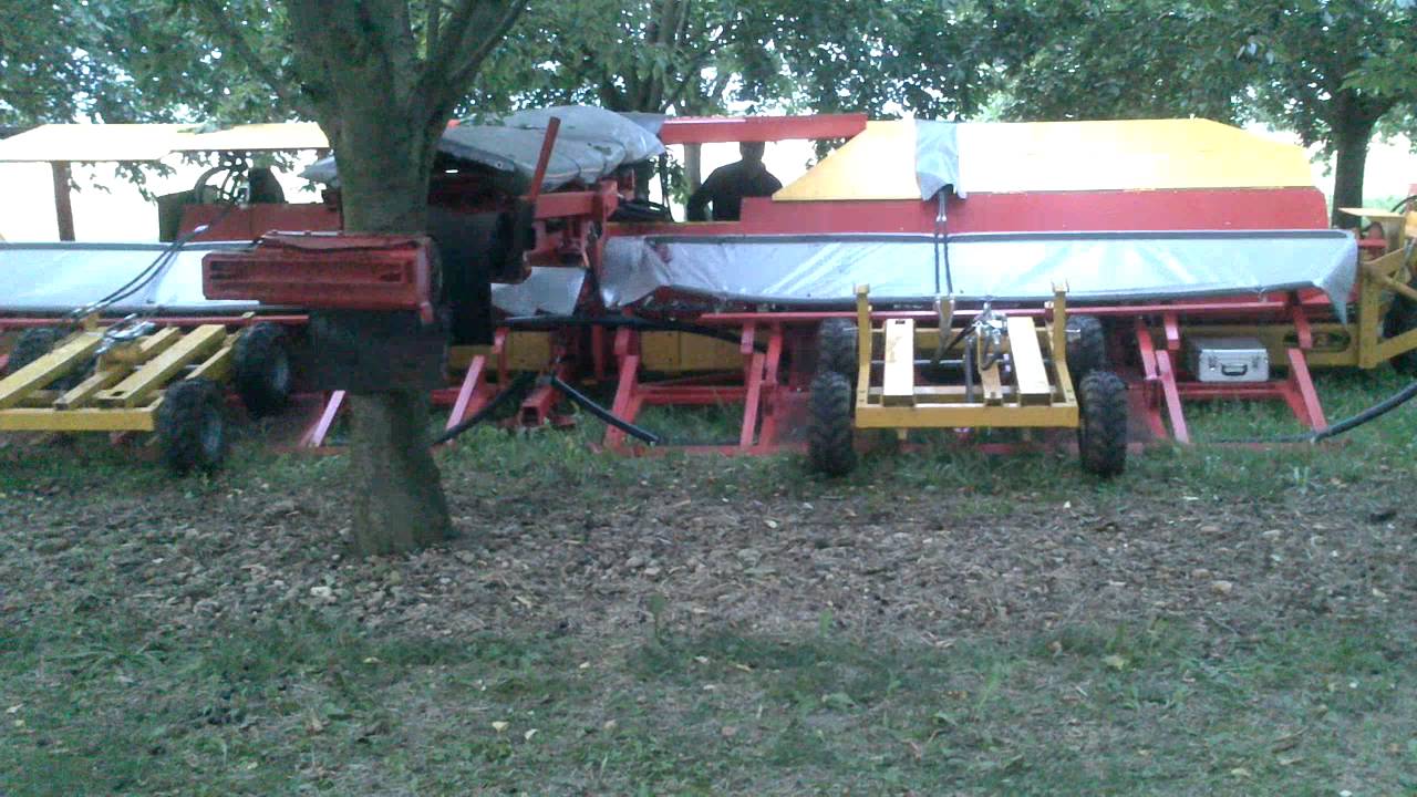 Récolte Mécanique cerise mirabelle en Isère