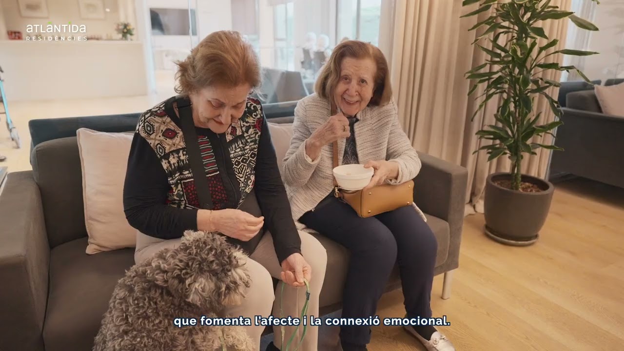 MAS D'ANGLÍ SUBT CAT