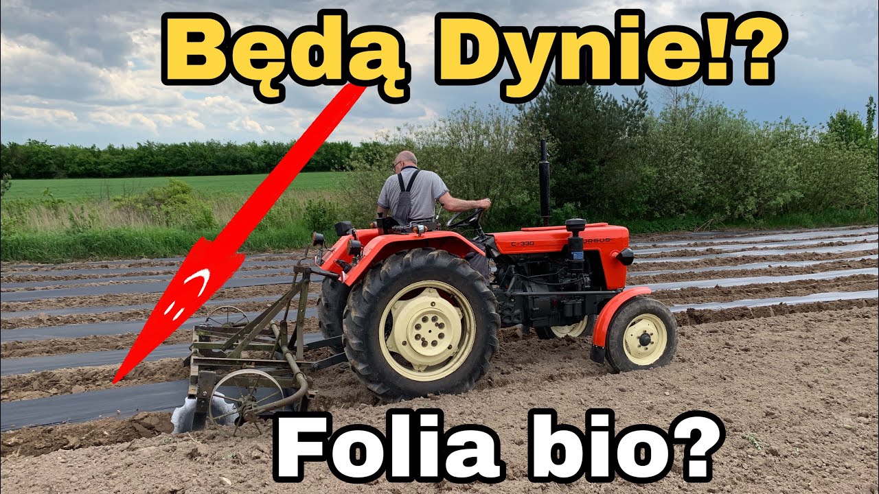 #229- Siew Dyni innowacyjną metodą na folii biodegradowalnej! + Przygotowanie do siewu!