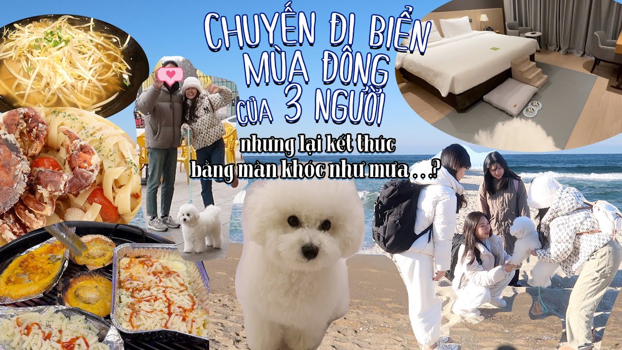 Chuyến đi biển mùa đông của 3 người kết thúc bằng màn khóc như mưa...ㅣHãy cầu nguyện cho Toby nhé😢🙏🏻