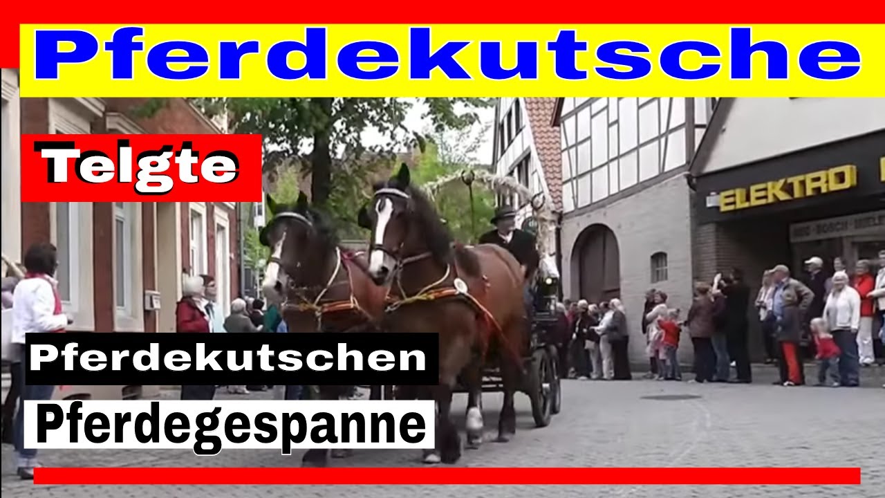 Pferdekutsche - Pferdekutschen und Pferdegespanne auf der Kutschenwallfahrt Telgte
