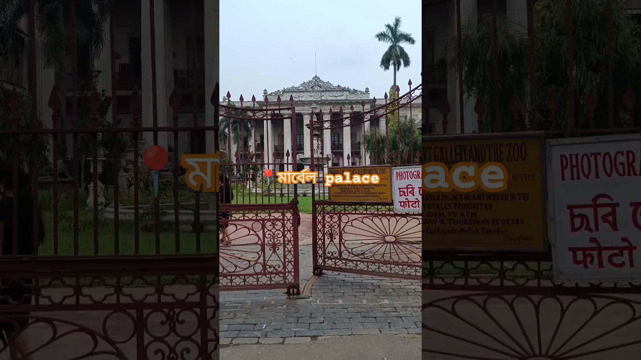 #music #marbelpalace #classicalmusic #kolkatavlog #instrumental #kolkatadiaries #heritage