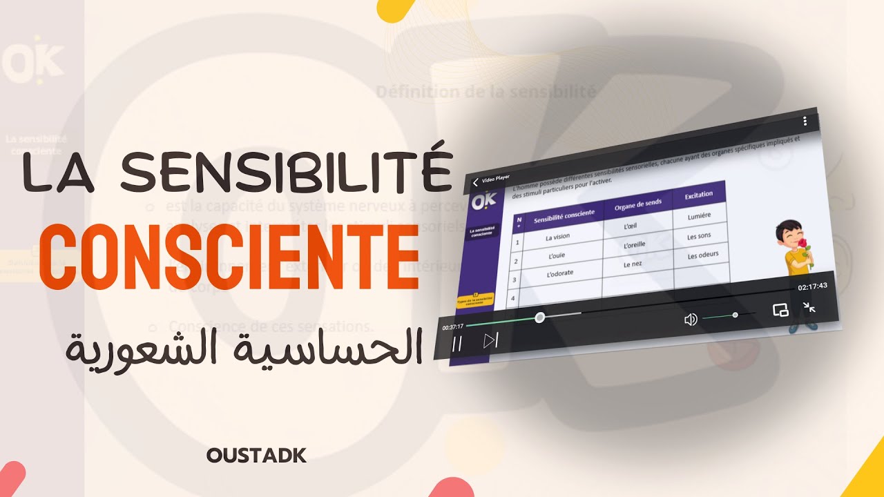 3AC | Comprendre la Sensibilité Consciente : Définition & Types