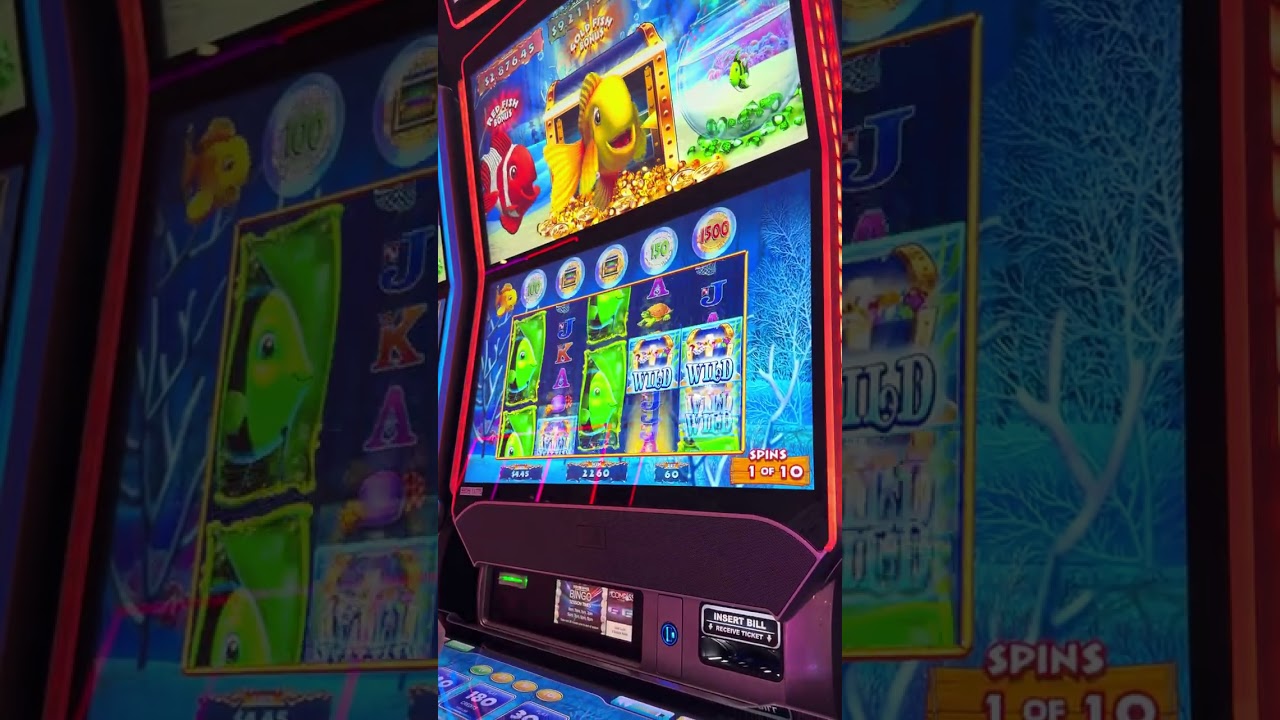 Moms Bonus on Gold Fish Big Win #slot #casino #shorts 