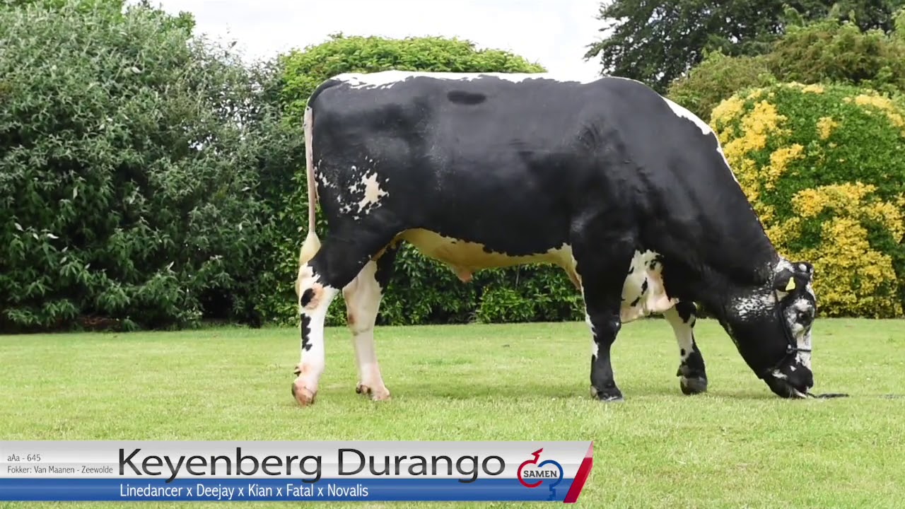 Durango promofilm 2020