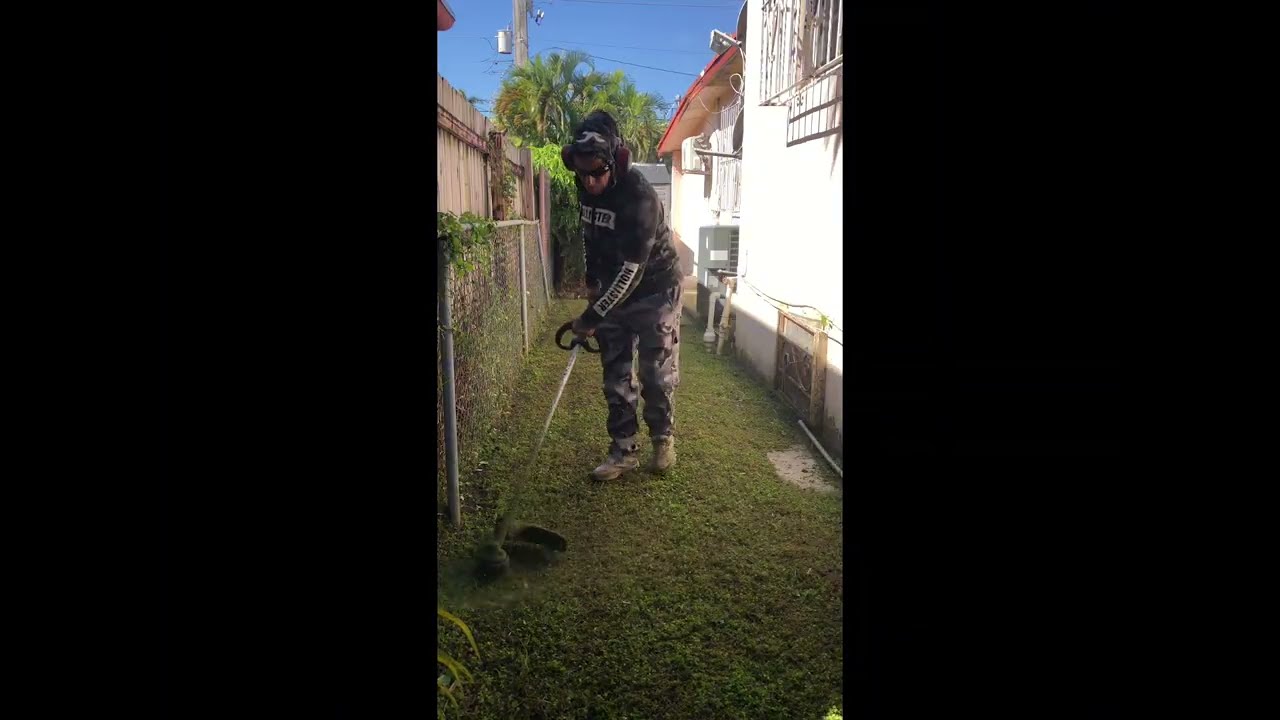 Real-time backyard transformation !!!!