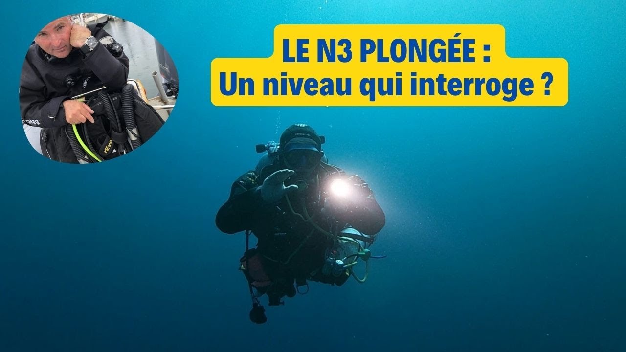 Le N3 plong&eacute;e, tout et n'importe quoi ? #plongeesousmarine #niveau3