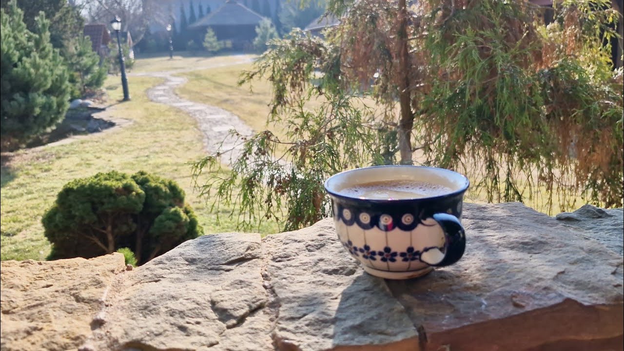 Cudowny spacer po ogrodzie aż nagle same straty 😉 / daily vlog 13 marca 2026