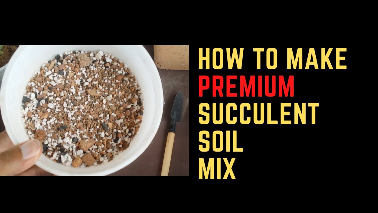 || HOW TO MAKE PREMIUM SUCCULENT SOIL MIX ||