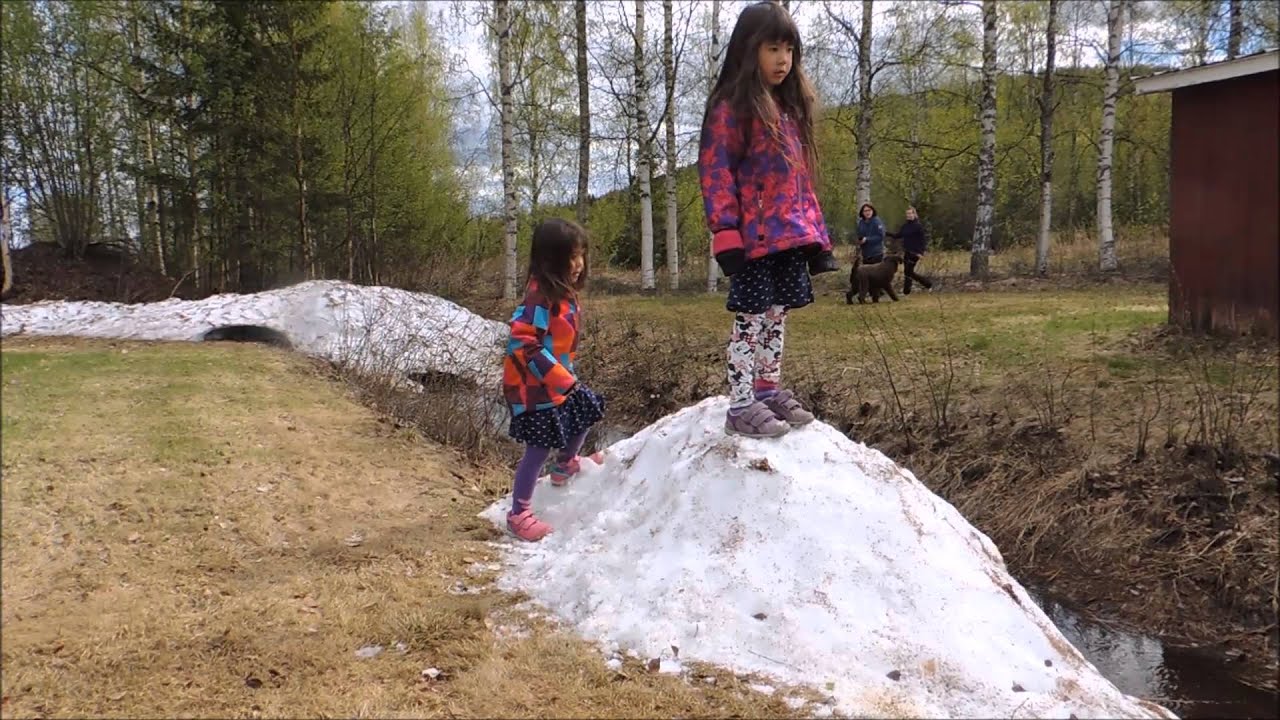 Brukshundklubben i Boden