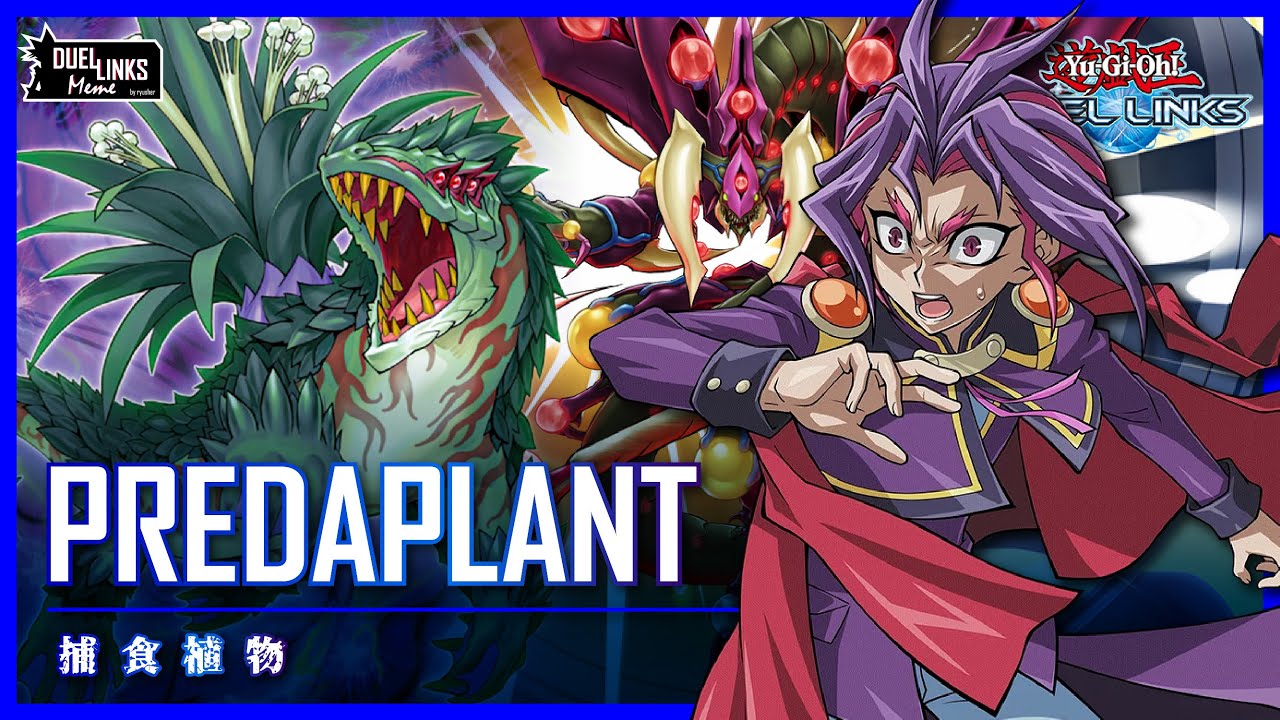Predaplant is the Best Fusion Deck! [Yu-Gi-Oh! Duel Links]