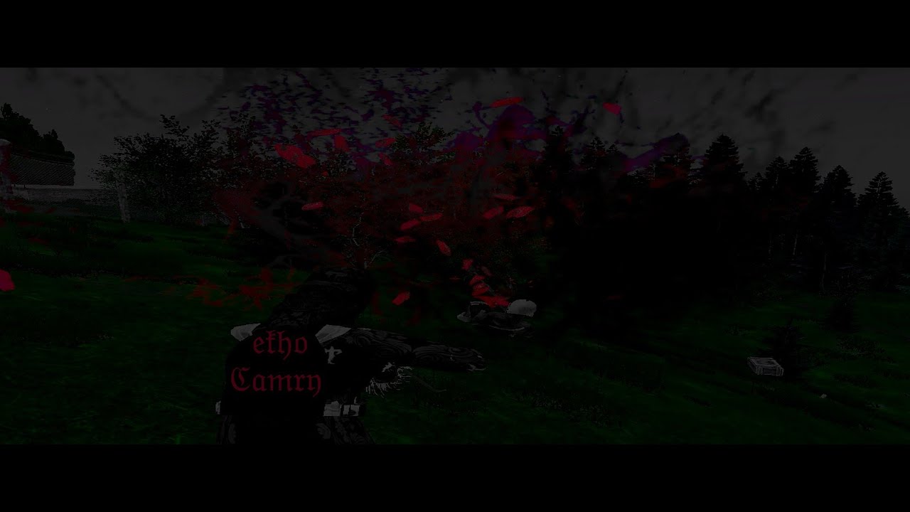 𝔪𝔞𝔫𝔞 𝔪𝔞𝔫𝔞 | 𝔢𝔨𝔥𝔬 x ℭ𝔞𝔪𝔯𝔶 | Duo Dayz PvP Montage #blackline #dayz #fragmovie #edit