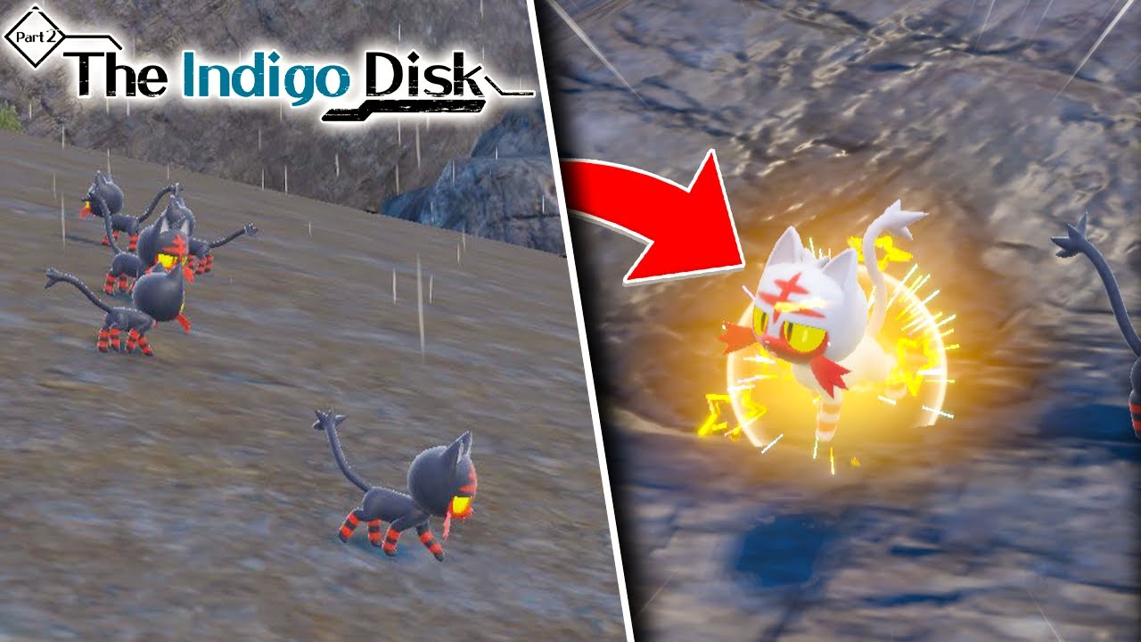 HOW TO FIND SHINY LITTEN IN POKEMON VIOLET! Best Location Shown / Indigo Disk DLC