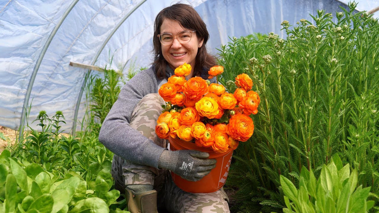 Roadside Stand Makeover! 💐 Ranunculus Season Begins