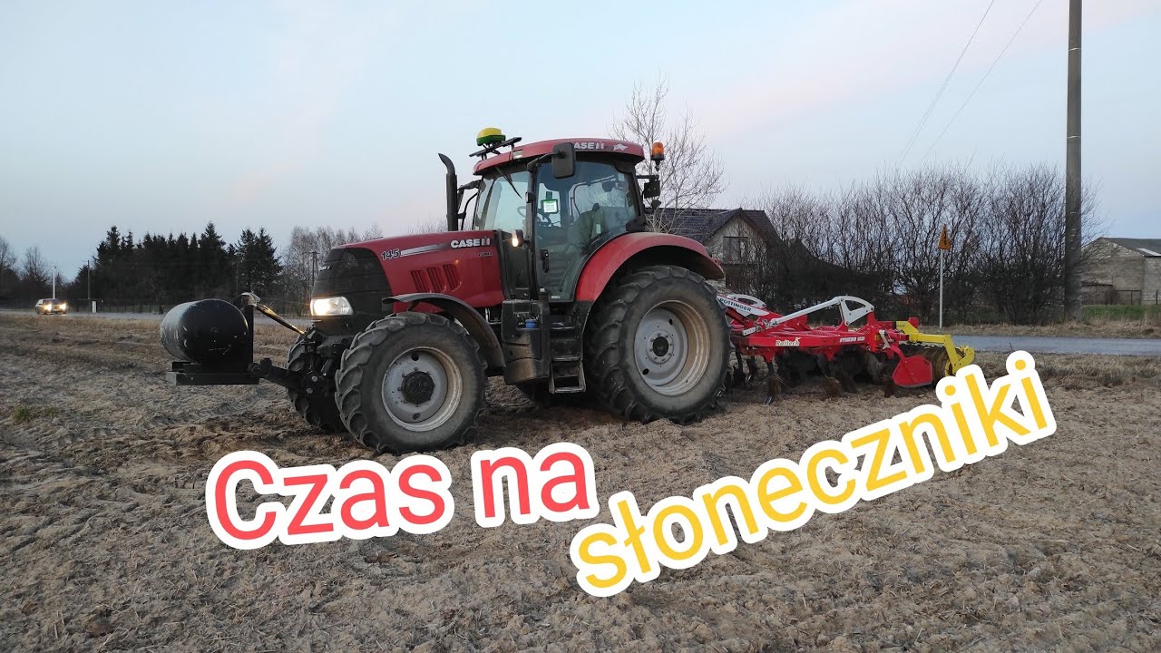 Uprawa i nawożenie pod słonecznik 🌻🌻🌻 Działanie Systivy w życie 👨‍🌾