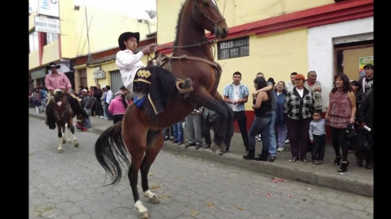chinchinacas que no nazca los rencores
