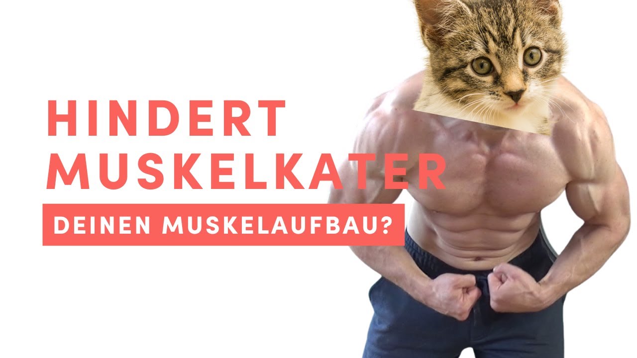 Muskelkater zum Muskeln Aufbauen Ja oder Nein? (EINFACHE REGEL)
