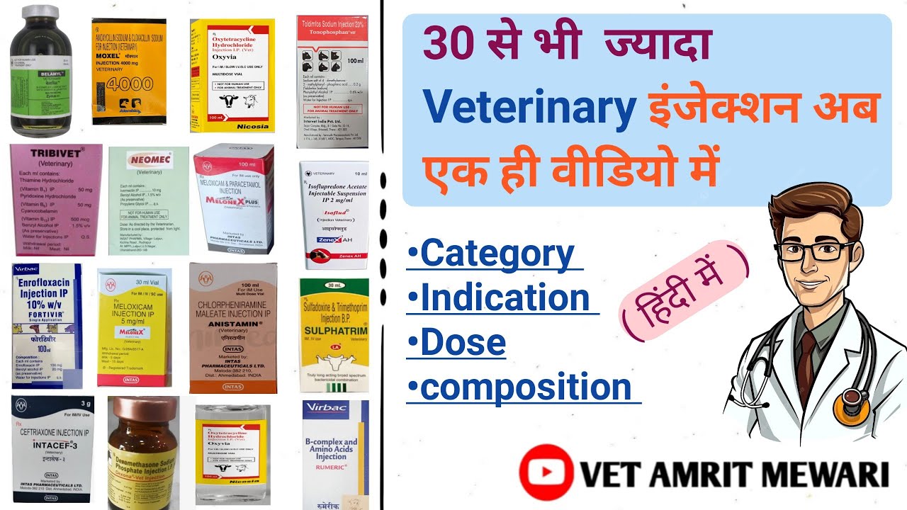 30 से भी ज्यादा Veterinary इंजेक्शन की जानकारी | पशुओं की दवाइयां / इंजेक्शन | Veterinary medicine|