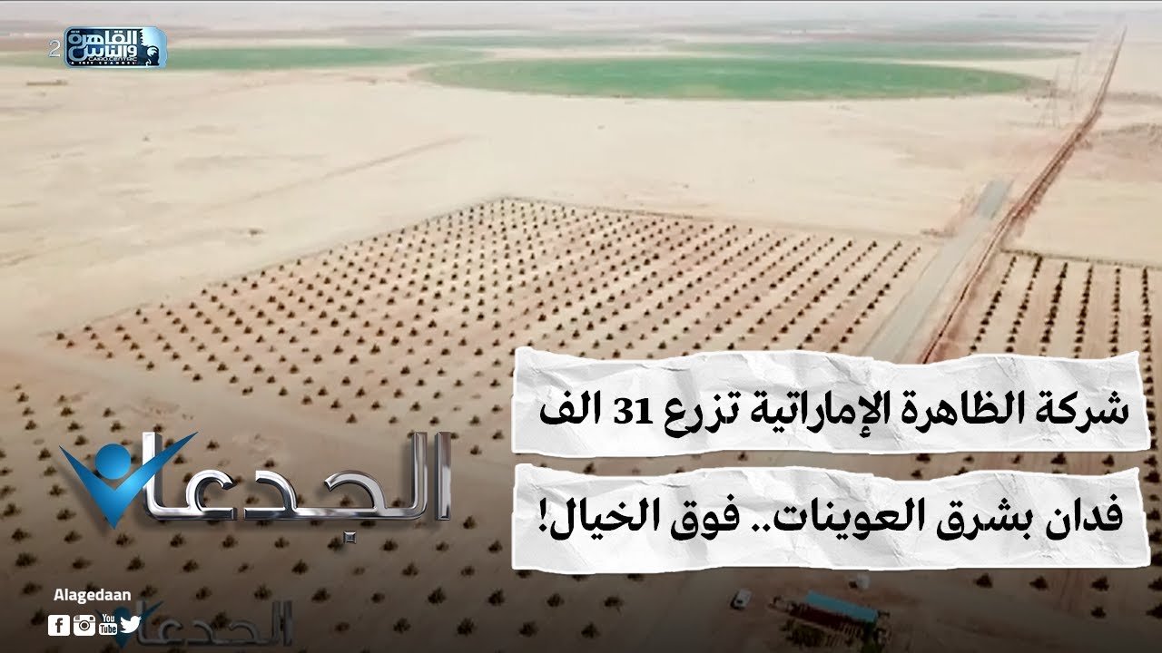 شركة الظاهرة الإماراتية تزرع ٣١ الف فدان بشرق العوينات.. فوق الخيال!